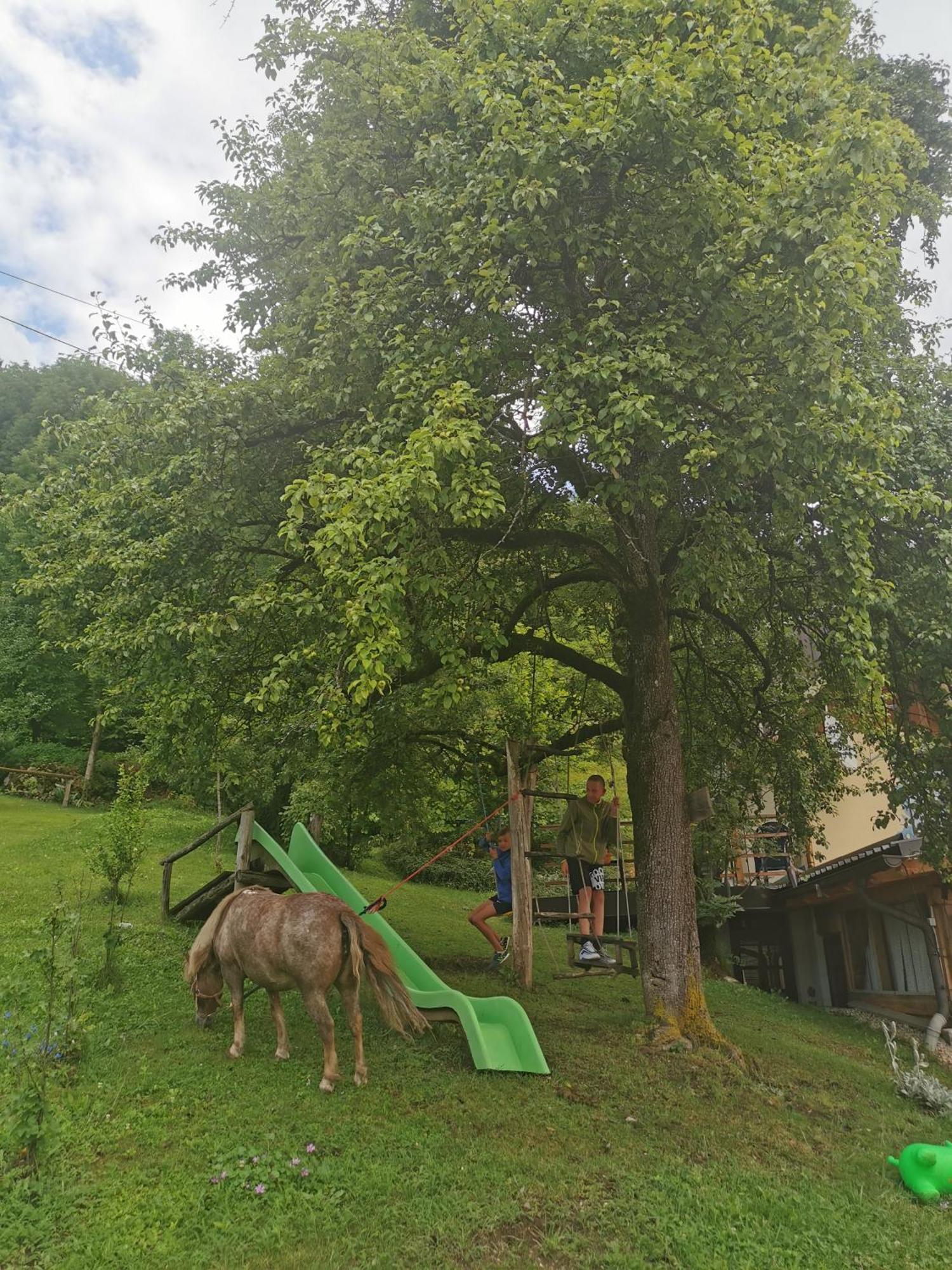 Slovenian Traditional Guest House Begunje na Gorenjskem Buitenkant foto