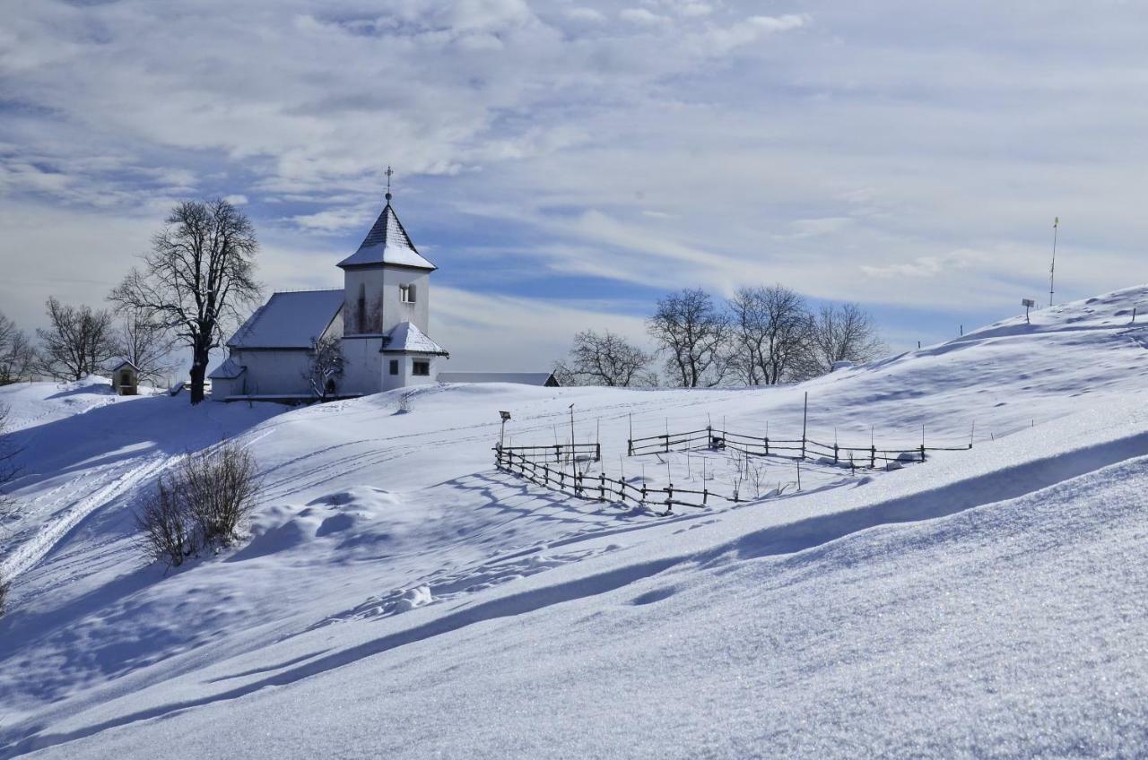 Slovenian Traditional Guest House Begunje na Gorenjskem Buitenkant foto